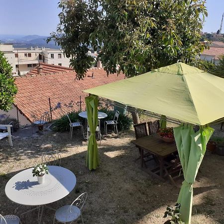 Les Palmiers Acomodação com café da manhã Grasse Exterior foto