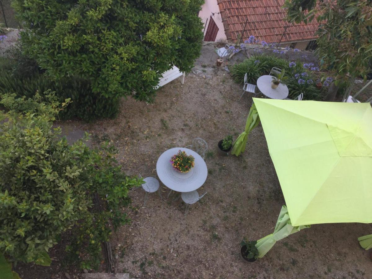 Les Palmiers Acomodação com café da manhã Grasse Exterior foto